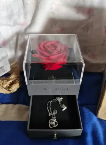 Click to view full screen Rosa Eterna con Collar "Te Amo" en 100 Idiomas photo review