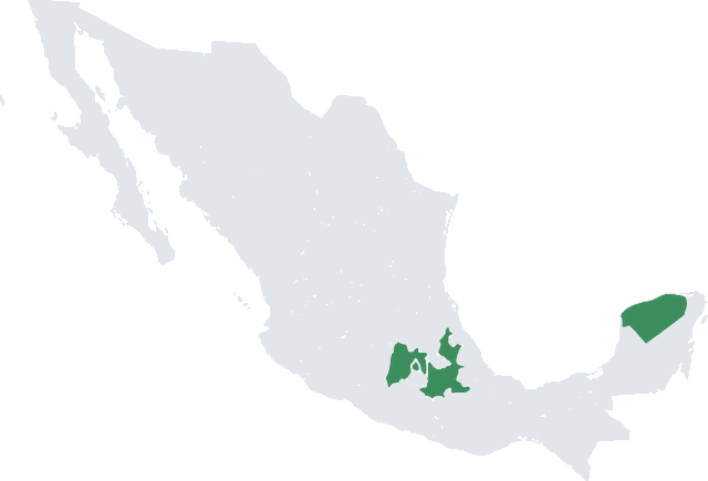 Mapa de México con CDMX, Estado de México, Puebla y Yucatán resaltados